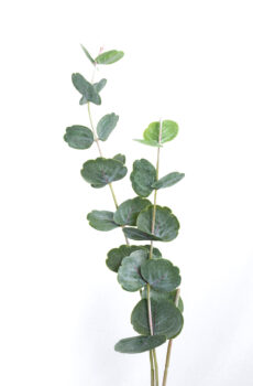 Soft Plastic Continus Leaf Spray