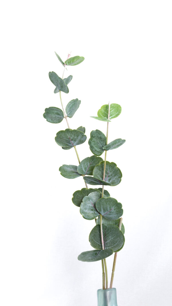 Soft Plastic Continus Leaf Spray