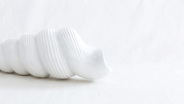 Caracol largo bco - Image 4
