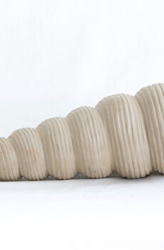Caracol largo polveado