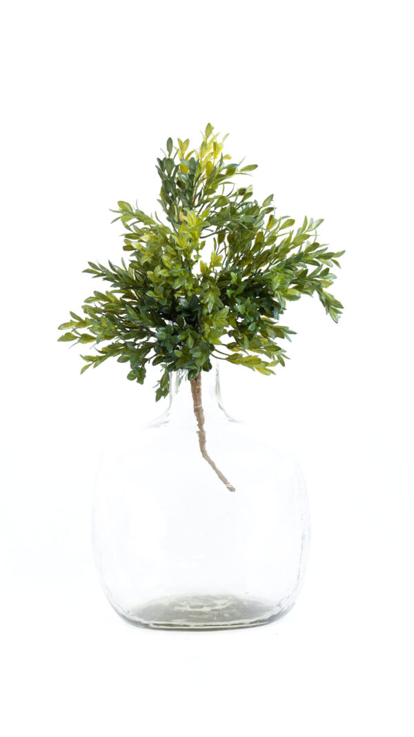 Arbolita tea - Image 3