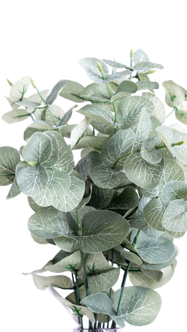 Eucalyptus lead bush green - Image 3