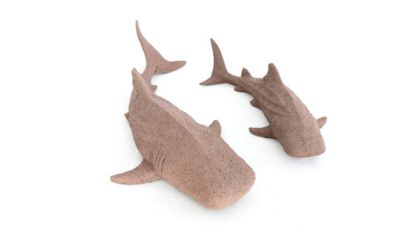 Tiburones pared canela - Image 5