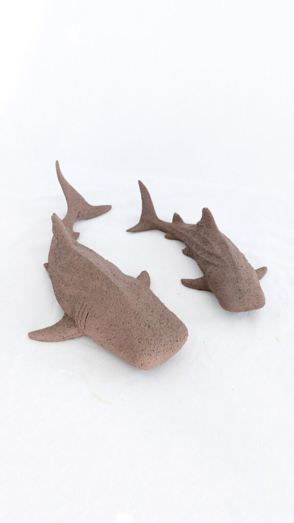 Tiburones pared canela - Image 4