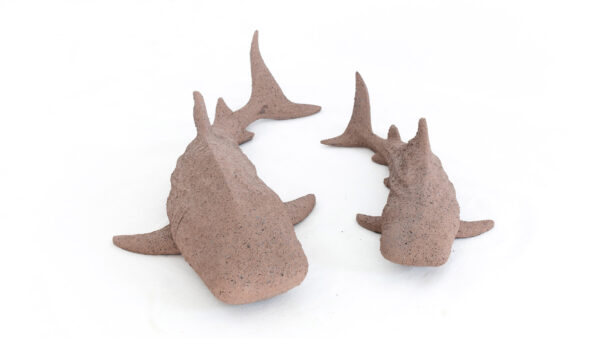 Tiburones pared canela