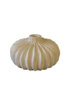 Jarron Contoy chongos